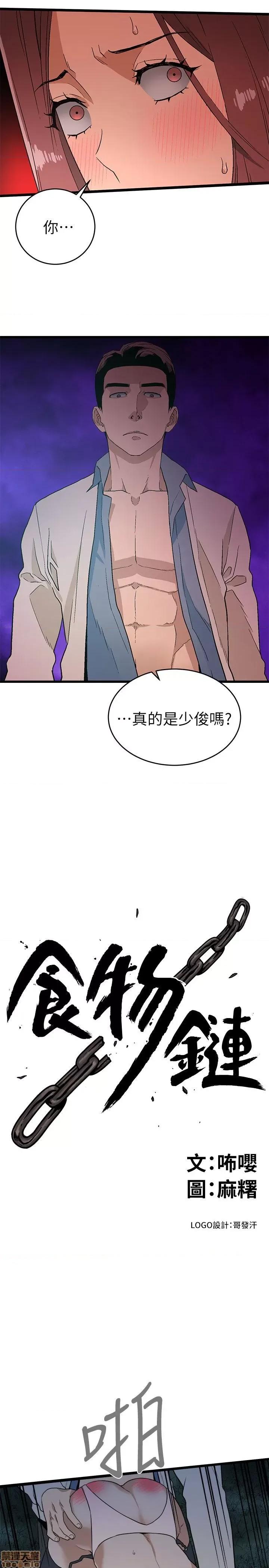 食物链 食物链 第372页