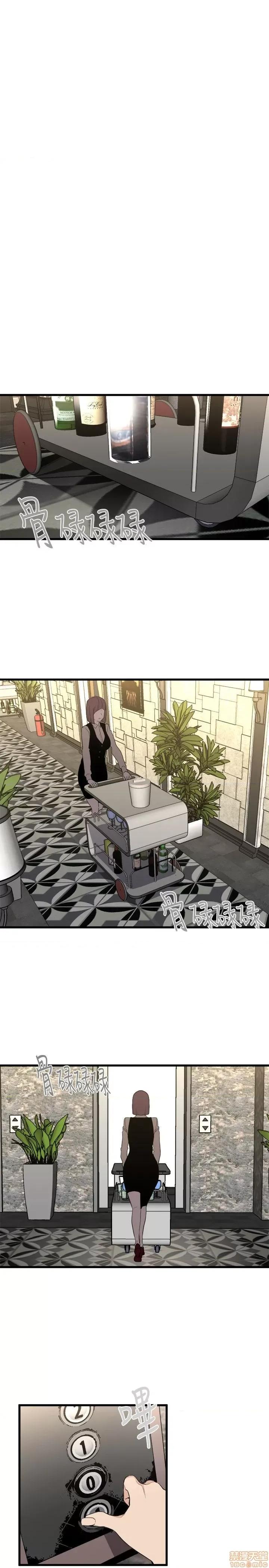 食物链 食物链 第696页