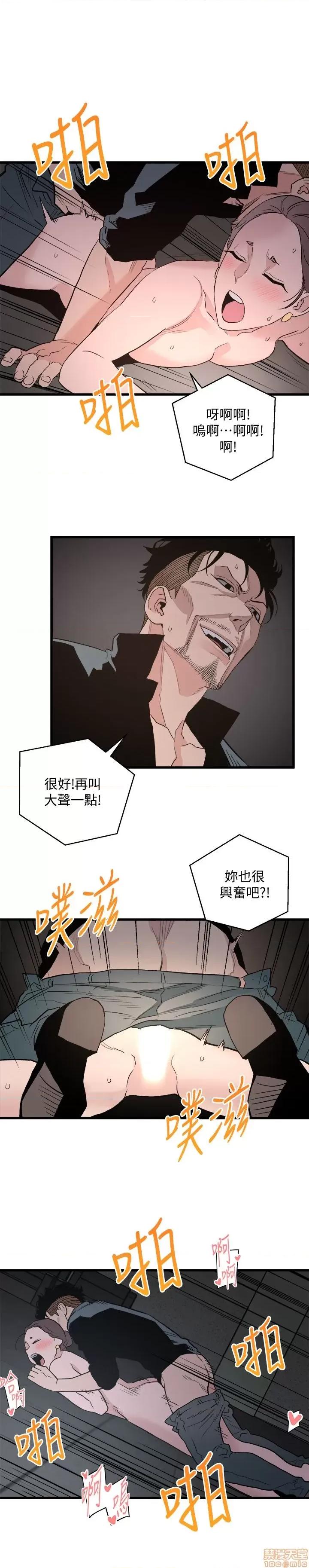 食物链 食物链 第876页