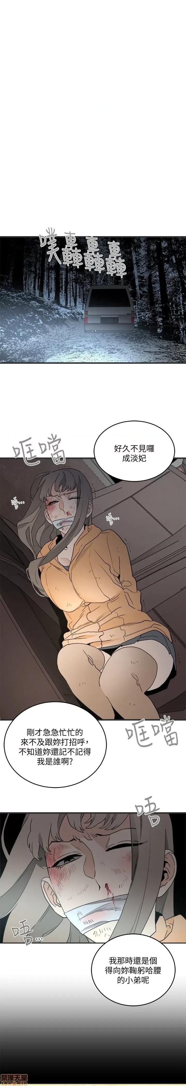 食物链 食物链 第890页