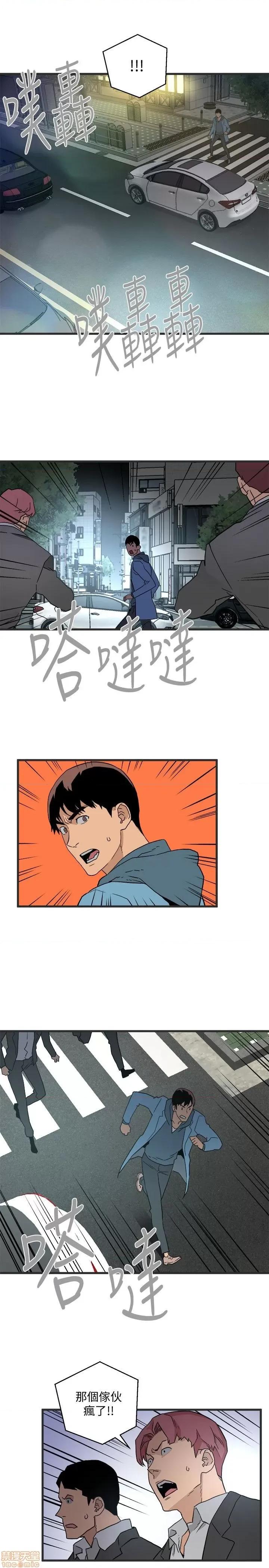 食物链 食物链 第905页