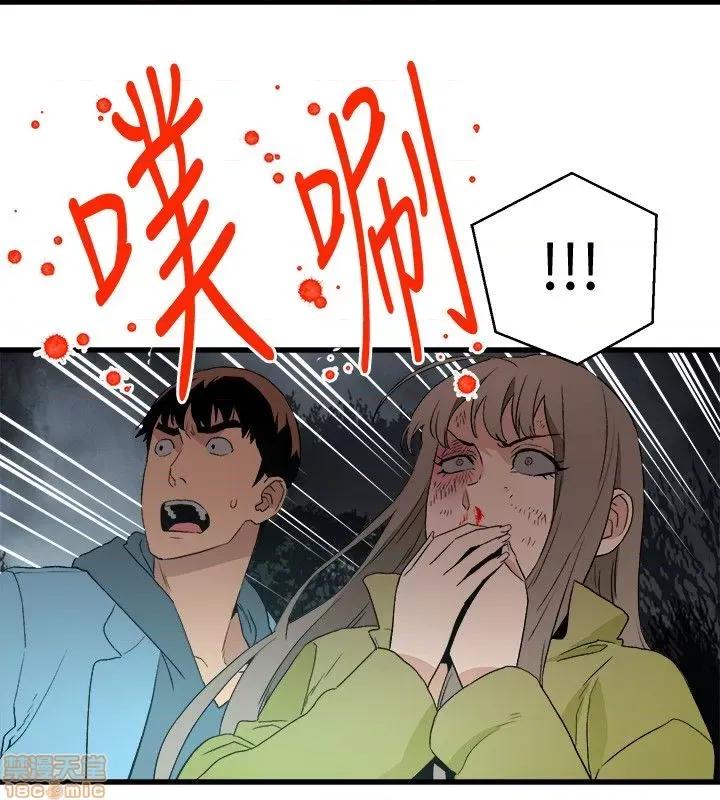 食物链 食物链 第936页
