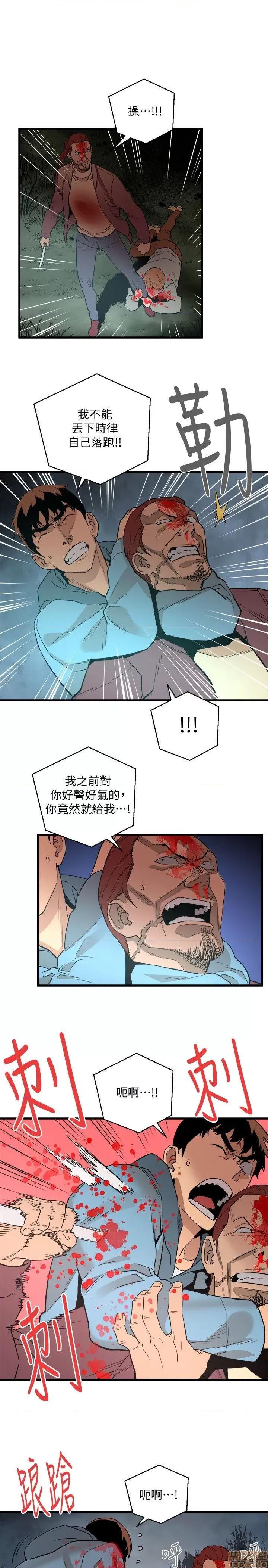 食物链 食物链 第941页