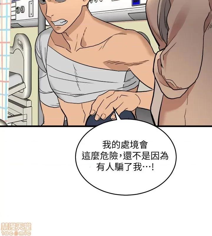 食物链 食物链 第965页