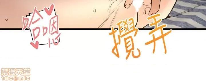 食物链 食物链 第1004页