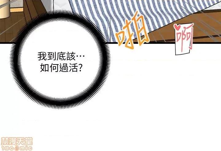 食物链 食物链 第1008页