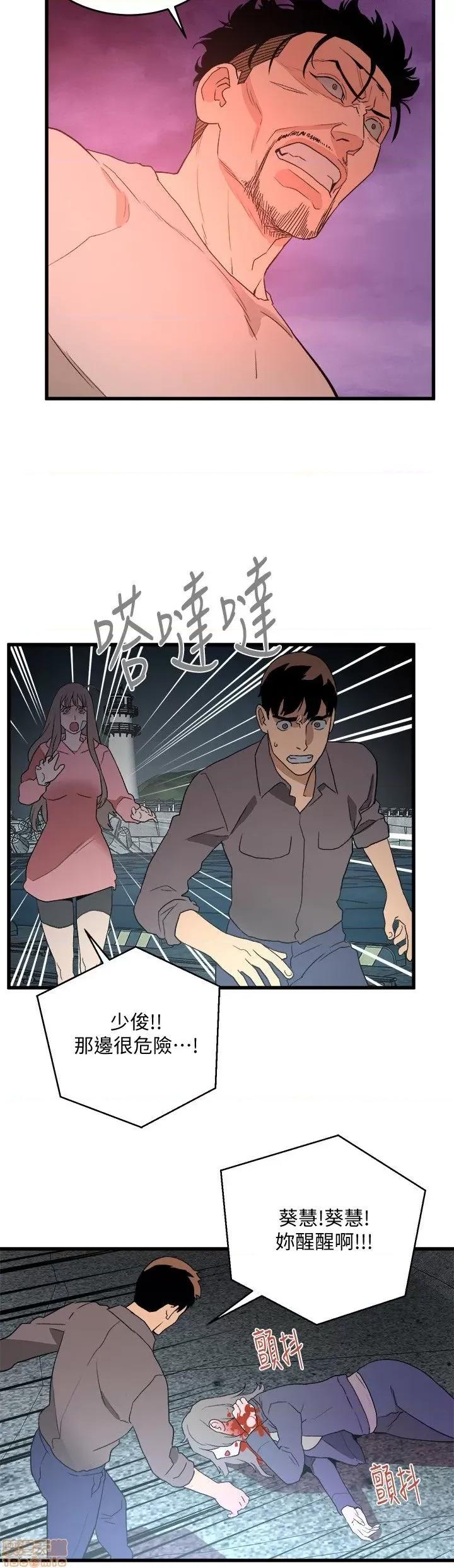 食物链 食物链 第1114页