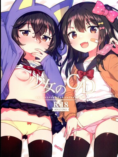 少女のCD