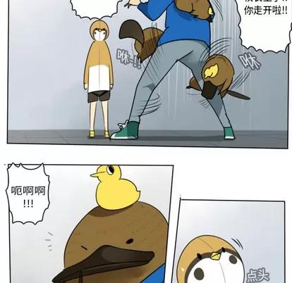 Ultimiter~终极者 Ultimiter~终极者 | 第14章 第43页
