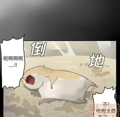 Ultimiter~终极者 Ultimiter~终极者 | 第79章 第20页