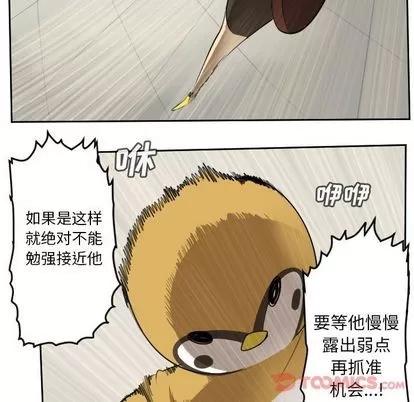 Ultimiter~终极者 Ultimiter~终极者 | 第82章 第12页