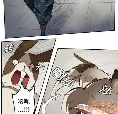 Ultimiter~终极者 Ultimiter~终极者 | 第87章 第10页