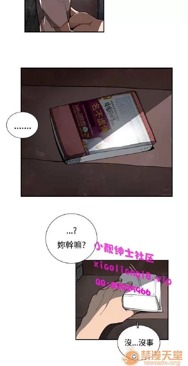 恋爱大排档 恋爱大排档|完结 第296页