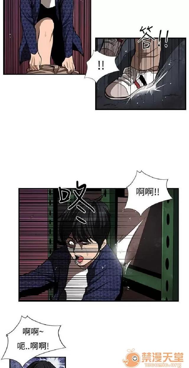 恋爱大排档 恋爱大排档|完结 第317页