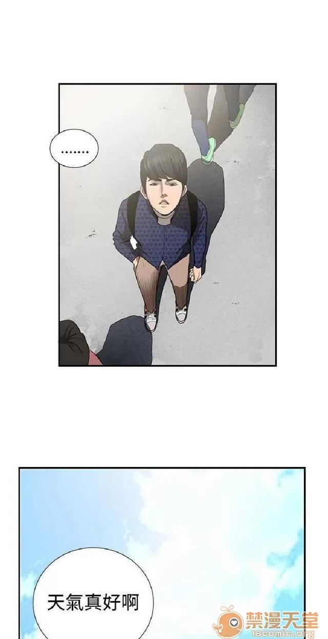 恋爱大排档 恋爱大排档|完结 第343页