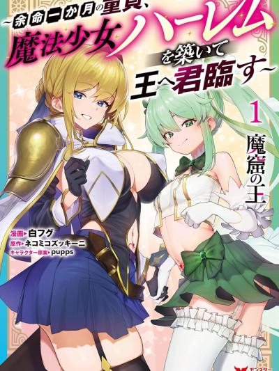 魔窟之王，余命一月的童贞，建立魔法少女后宫，君临天下