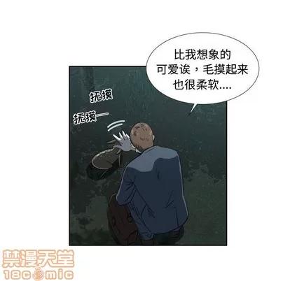 女人村的男老师 女人村的男老师 | 第19章 第65页