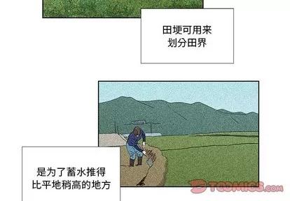 女人村的男老师 女人村的男老师 | 第24章 第2页