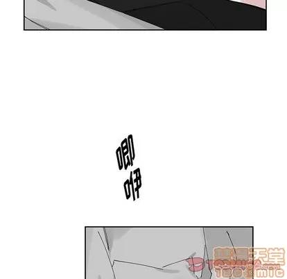 悦耳的花歌 悦耳的花歌 | 第11章 第10页