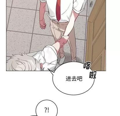 悦耳的花歌 悦耳的花歌 | 第19章 第36页