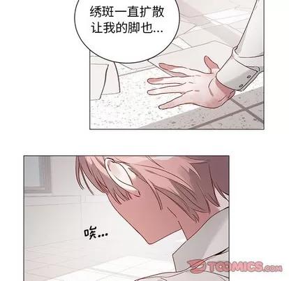 悦耳的花歌 悦耳的花歌 | 第27章 第16页