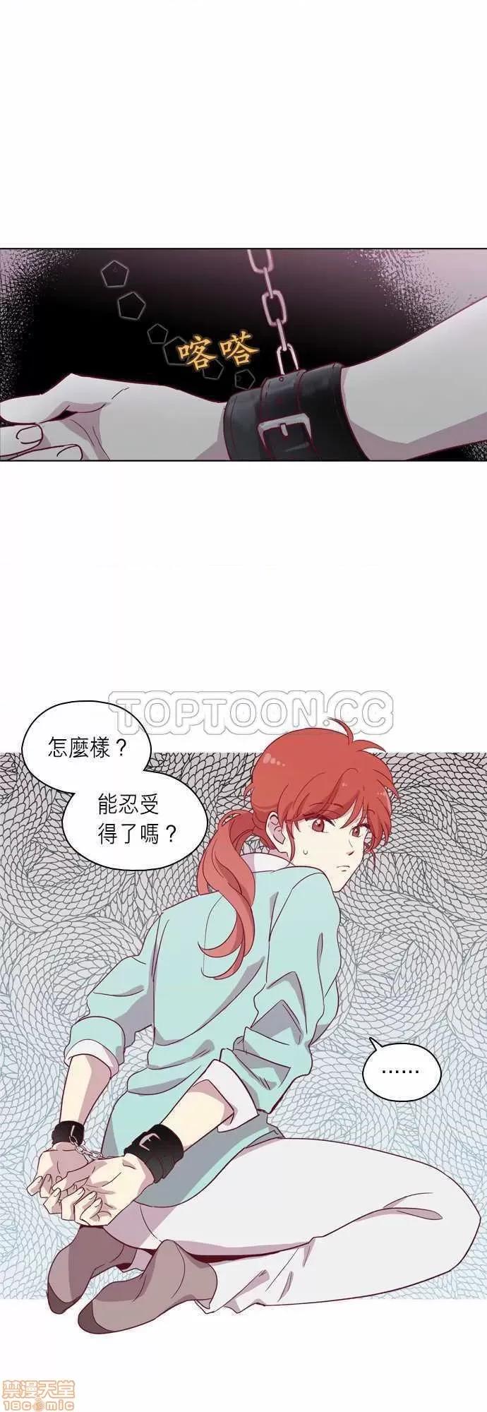 解禁男女 解禁男女 第2906页