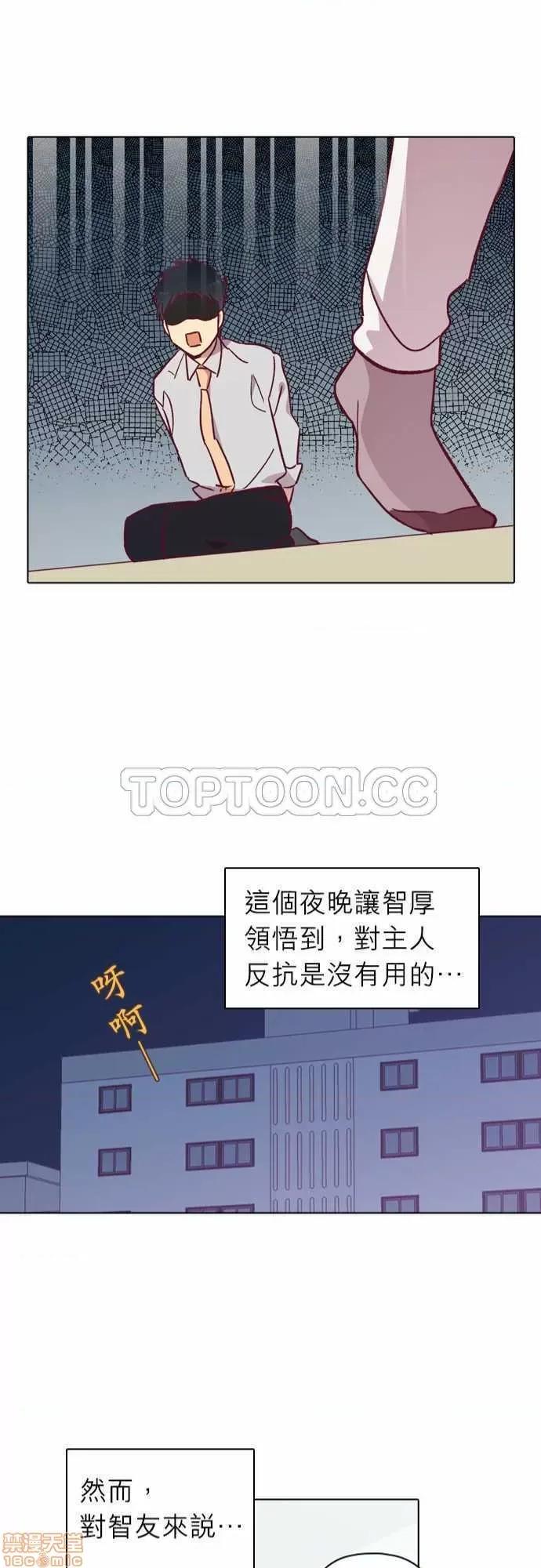 解禁男女 解禁男女 第2986页
