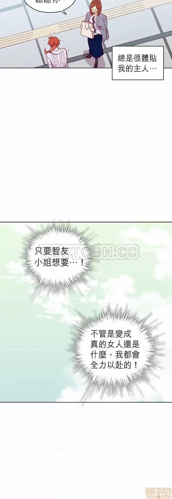 解禁男女 解禁男女 第3217页