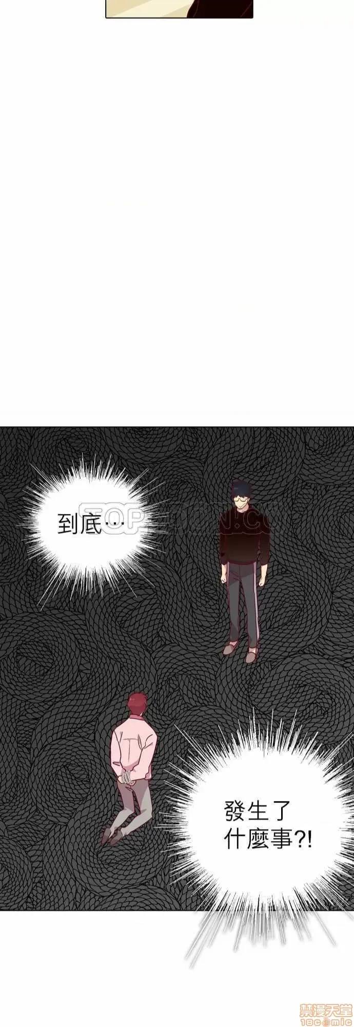 解禁男女 解禁男女 第3541页