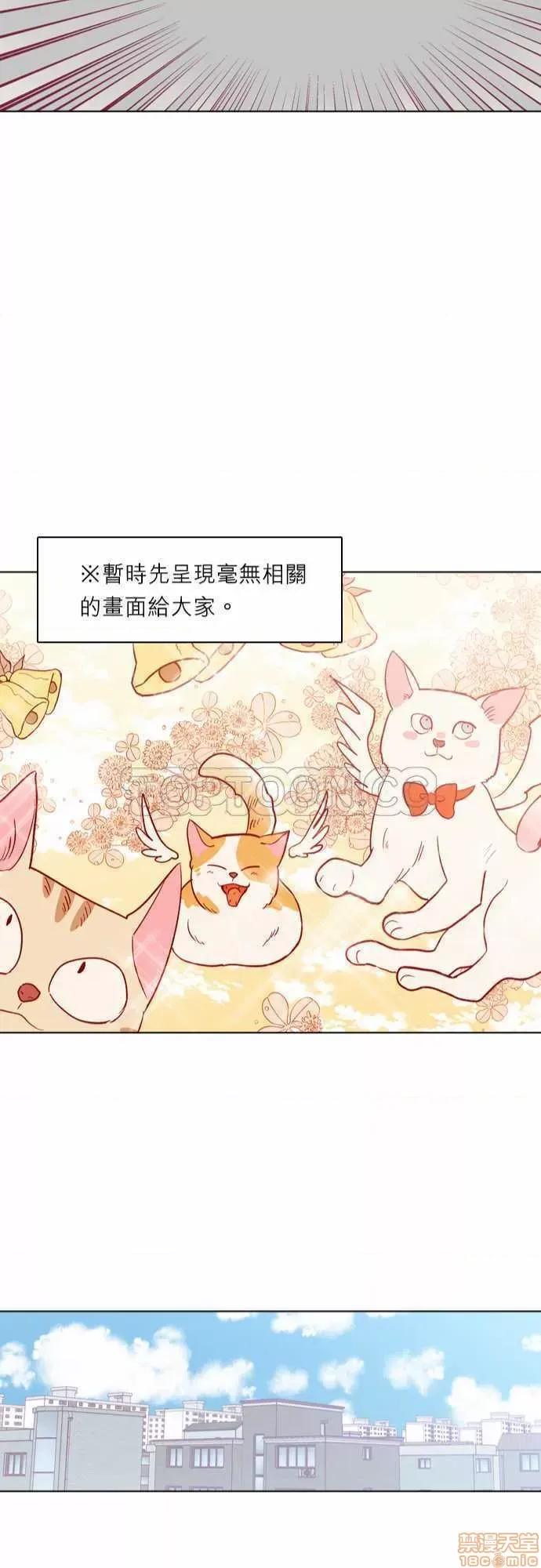 解禁男女 解禁男女 第3740页