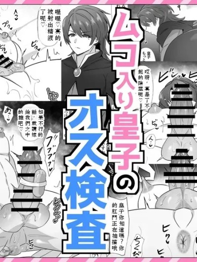 ムコ入り皇子のオス检查