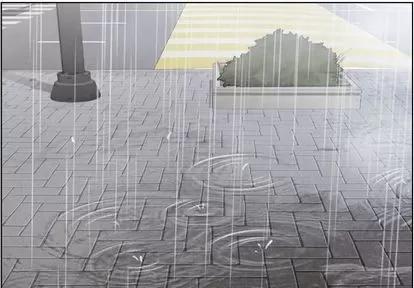 郑主任为何这样 郑主任为何这样 | 第61章 第4页