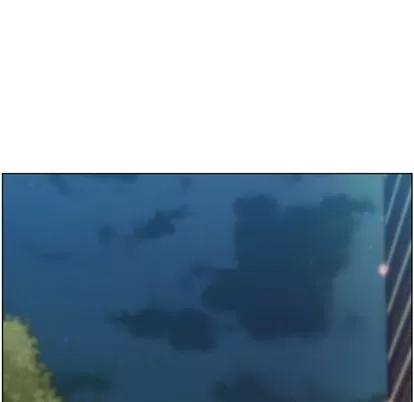郑主任为何这样 郑主任为何这样 | 第71章 第96页
