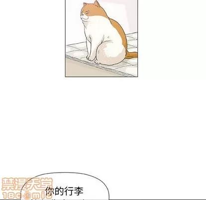 奇趣新人 奇趣新人 | 第9章 第20页