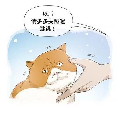 奇趣新人 奇趣新人 | 第9章 第22页