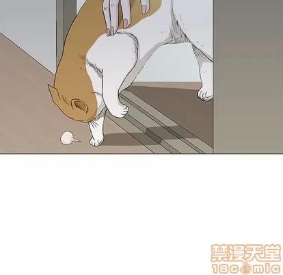 奇趣新人 奇趣新人 | 第19章 第40页