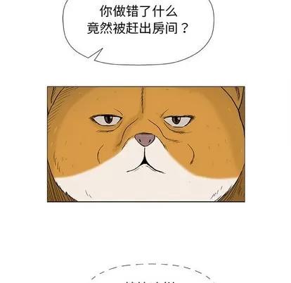 奇趣新人 奇趣新人 | 第19章 第74页