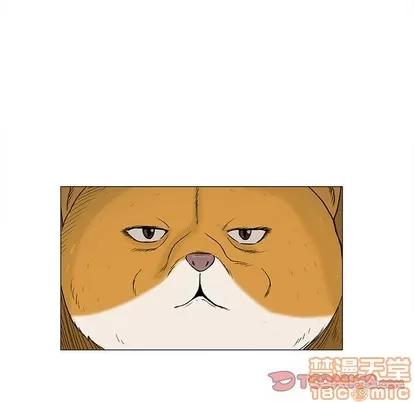 奇趣新人 奇趣新人 | 第19章 第105页