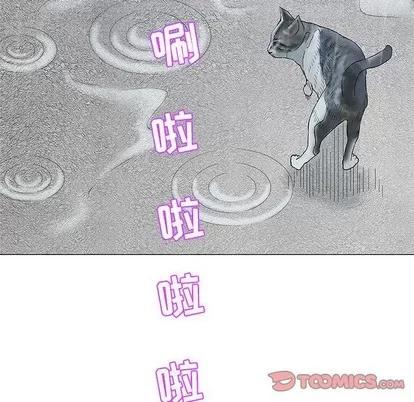 奇趣新人 奇趣新人 | 第24章 第87页