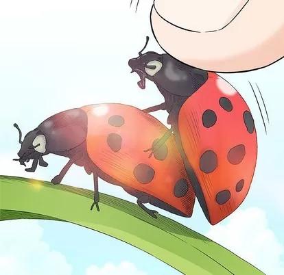 奇趣新人 奇趣新人 | 第26章 第11页