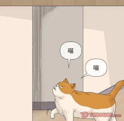 奇趣新人 奇趣新人 | 第26章 第111页