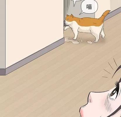 奇趣新人 奇趣新人 | 第26章 第113页