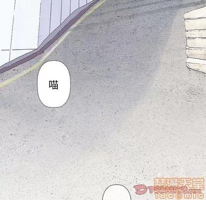 奇趣新人 奇趣新人 | 第28章 第15页