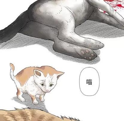 奇趣新人 奇趣新人 | 第28章 第18页