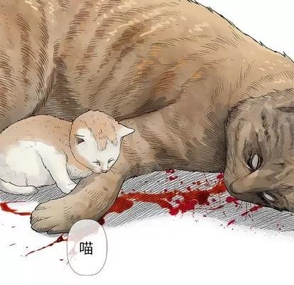 奇趣新人 奇趣新人 | 第28章 第19页