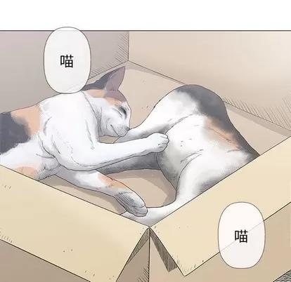 奇趣新人 奇趣新人 | 第28章 第103页