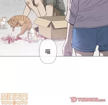 奇趣新人 奇趣新人 | 第28章 第105页