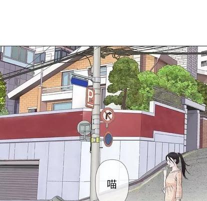 奇趣新人 奇趣新人 | 第28章 第106页