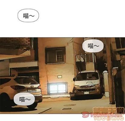 奇趣新人 奇趣新人 | 第35章 第75页