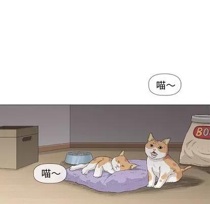 奇趣新人 奇趣新人 | 第35章 第76页